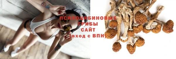 сатива Абинск
