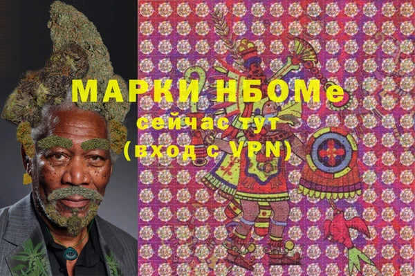 сатива Абинск