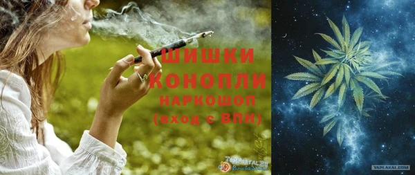 сатива Абинск