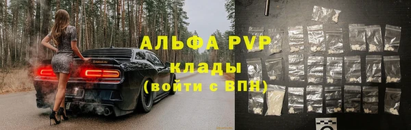 гашик Абаза