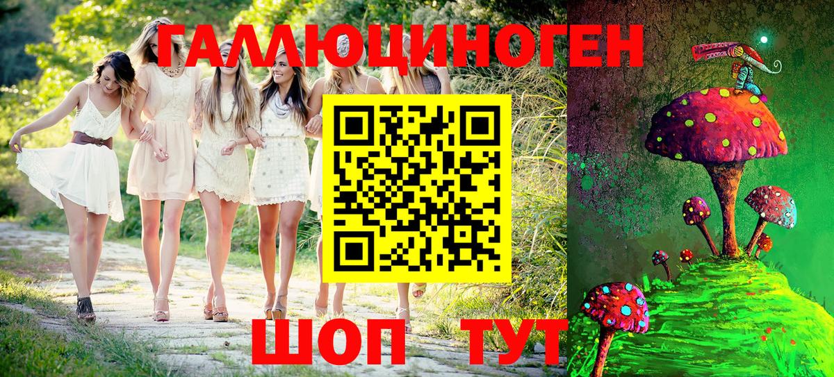 Псилоцибиновые грибы Magic Shrooms  Вход с VPN  Абинск  купить наркотик  Псилоцибиновые грибы прущие грибы 
